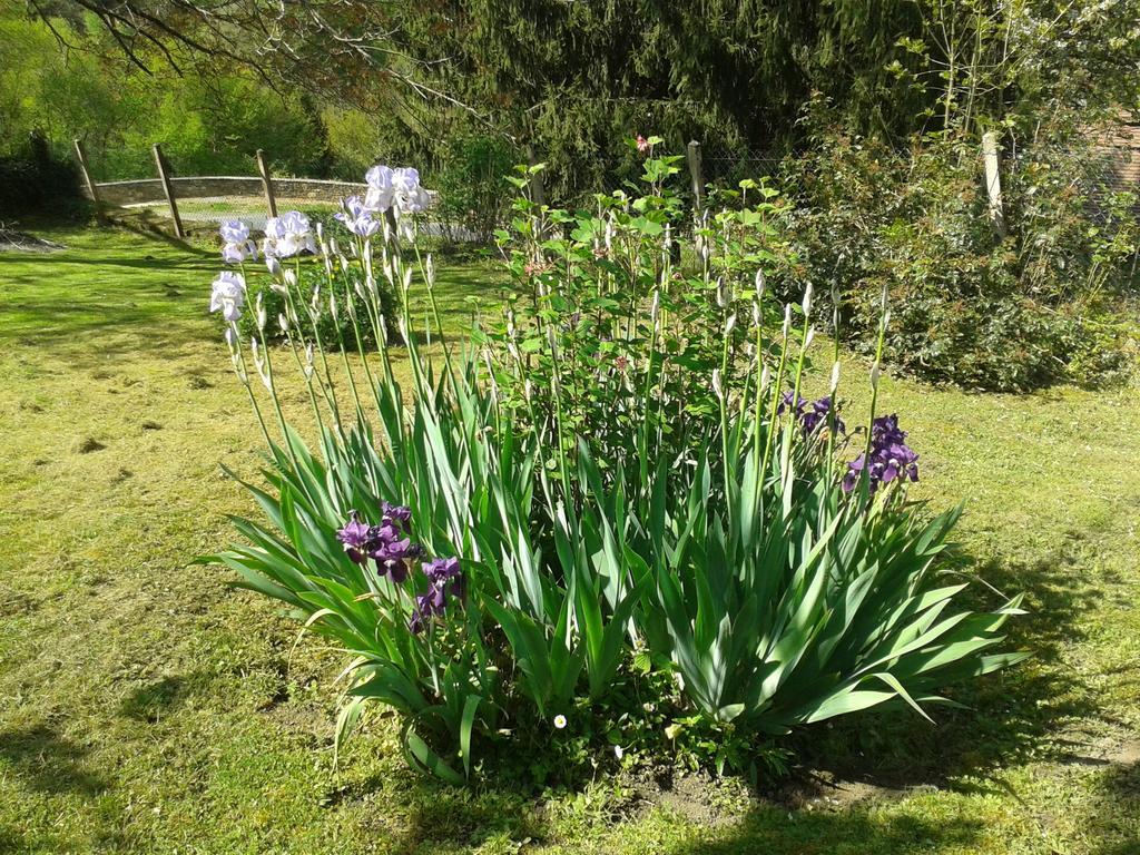 Gite Des Croix Bancaud Jumilhac-le-Grand Екстериор снимка